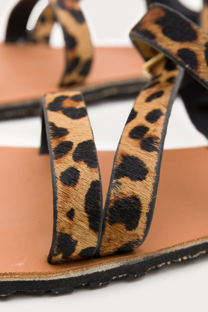 dada SENDA LEOPARD